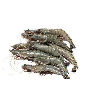 বাগদা চিংড়ি ৪৫-৫৫ টি ৫00 গ্রাম