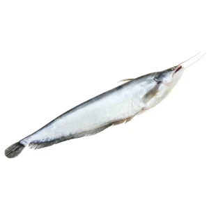 বোয়াল মাছ ১ কেজি