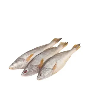 পোয়া মাছ ৫০০ গ্রাম