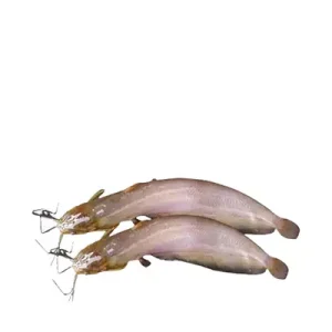 শিং মাছ ৫০০ গ্রাম