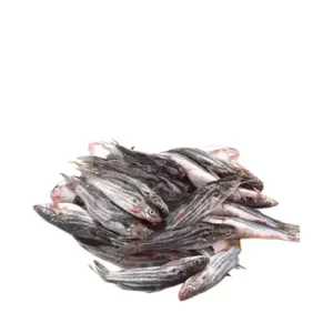 ট্যাংরা মাছ দেশি ৫০০ গ্রাম
